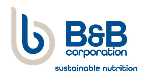 B&B Corporation